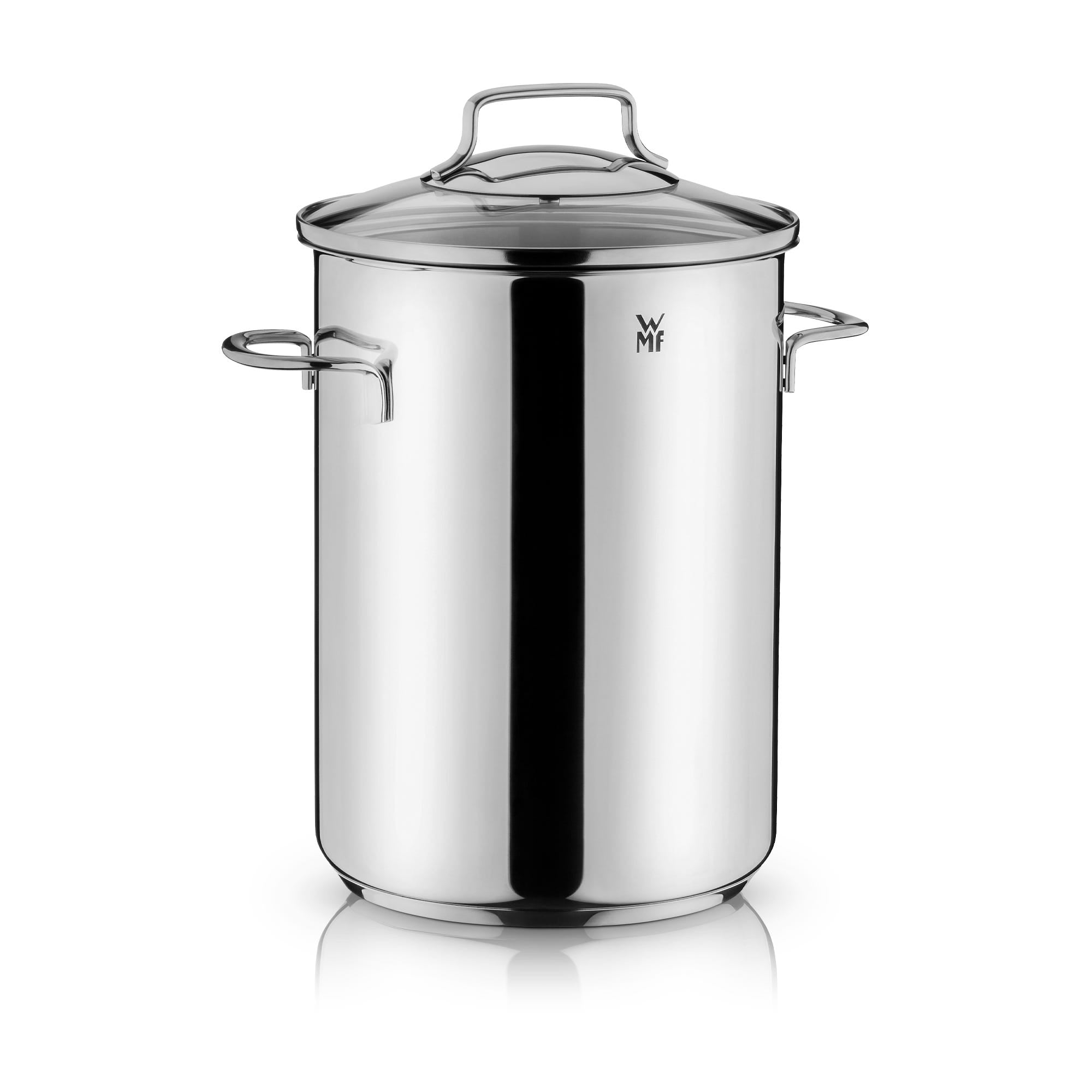 Aspargesgryte rustfritt stål 16 cm 4,5 L med innsats - WMF forfra