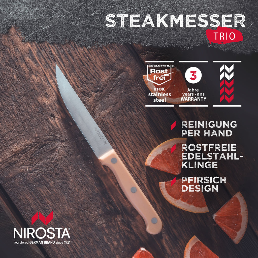 Biffkniv 11 cm rustfritt stål Peachy Sun - Nirosta nærbilde av grep