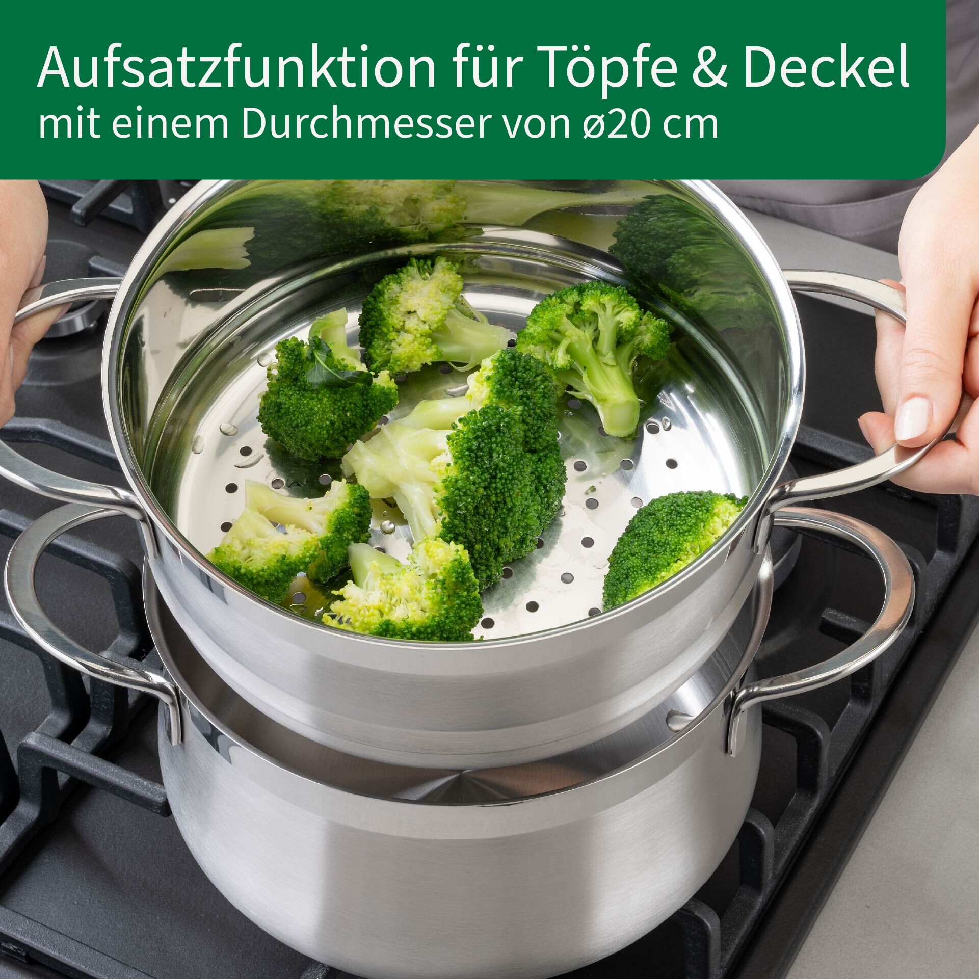 Pakke med dampinnsats og sil Leipzig Ø20 cm rustfritt stål