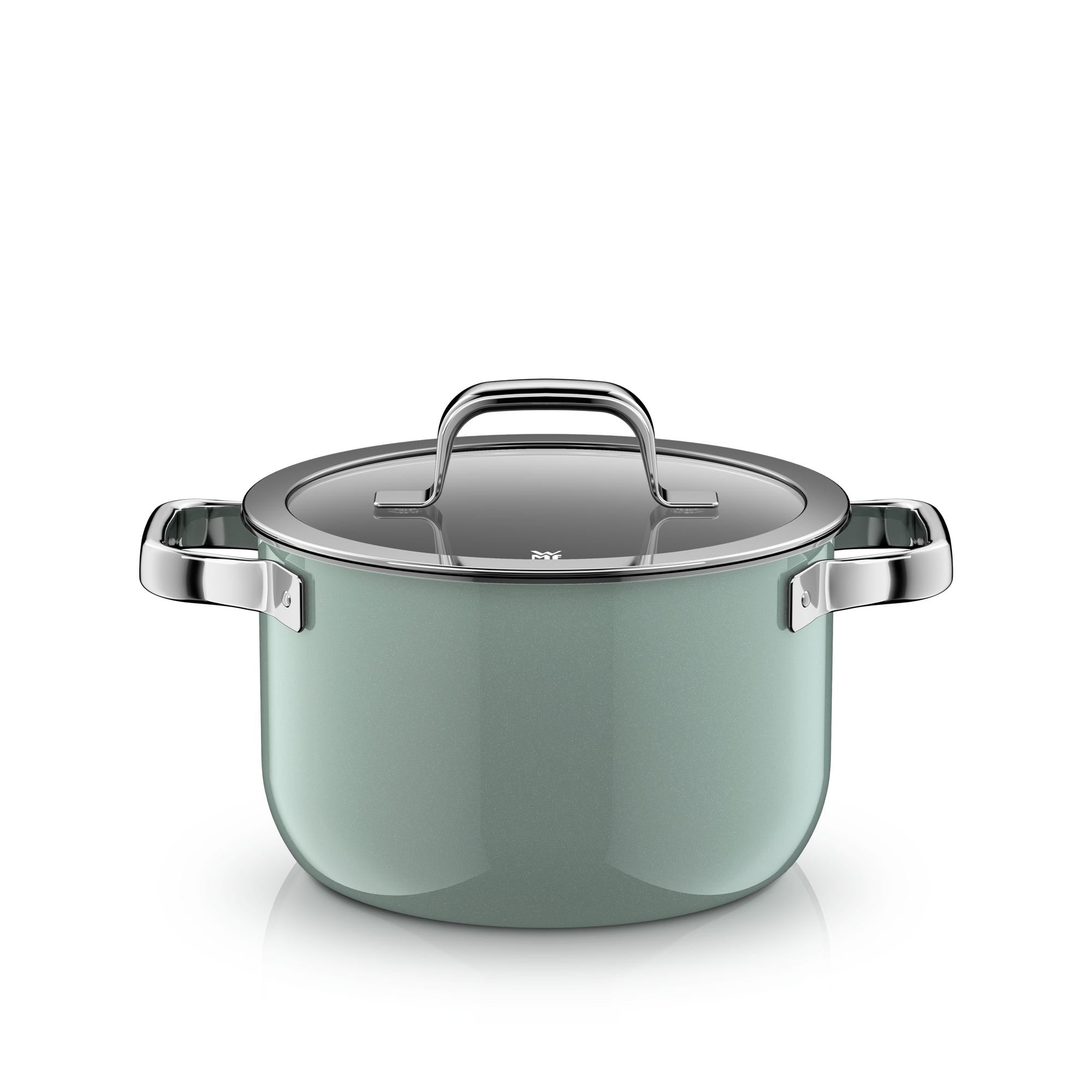Grytesett 4-delt Fusiontec Mineral Pro eucalyptus haze induksjon - WMF detalj av håndtak