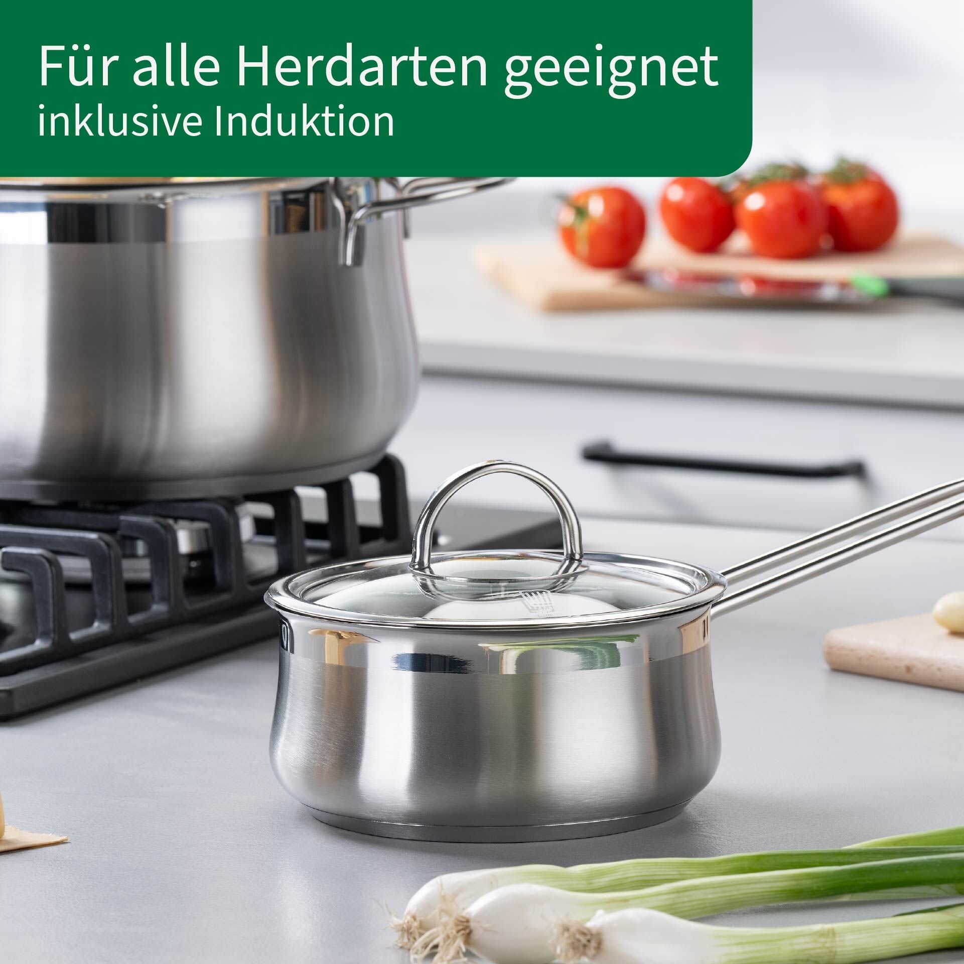 Kasserolle rustfritt stål med glasslokk Ø16 cm med lokk