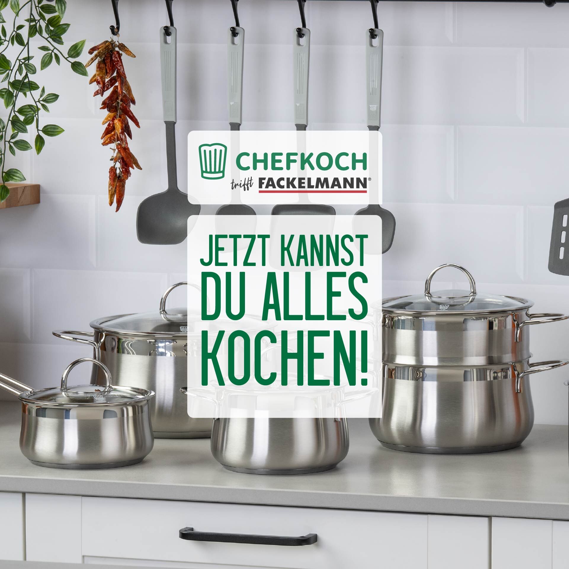 Kjele med glasslokk Leipzig Ø16 cm 2 L rustfritt stål pakket med emballasje