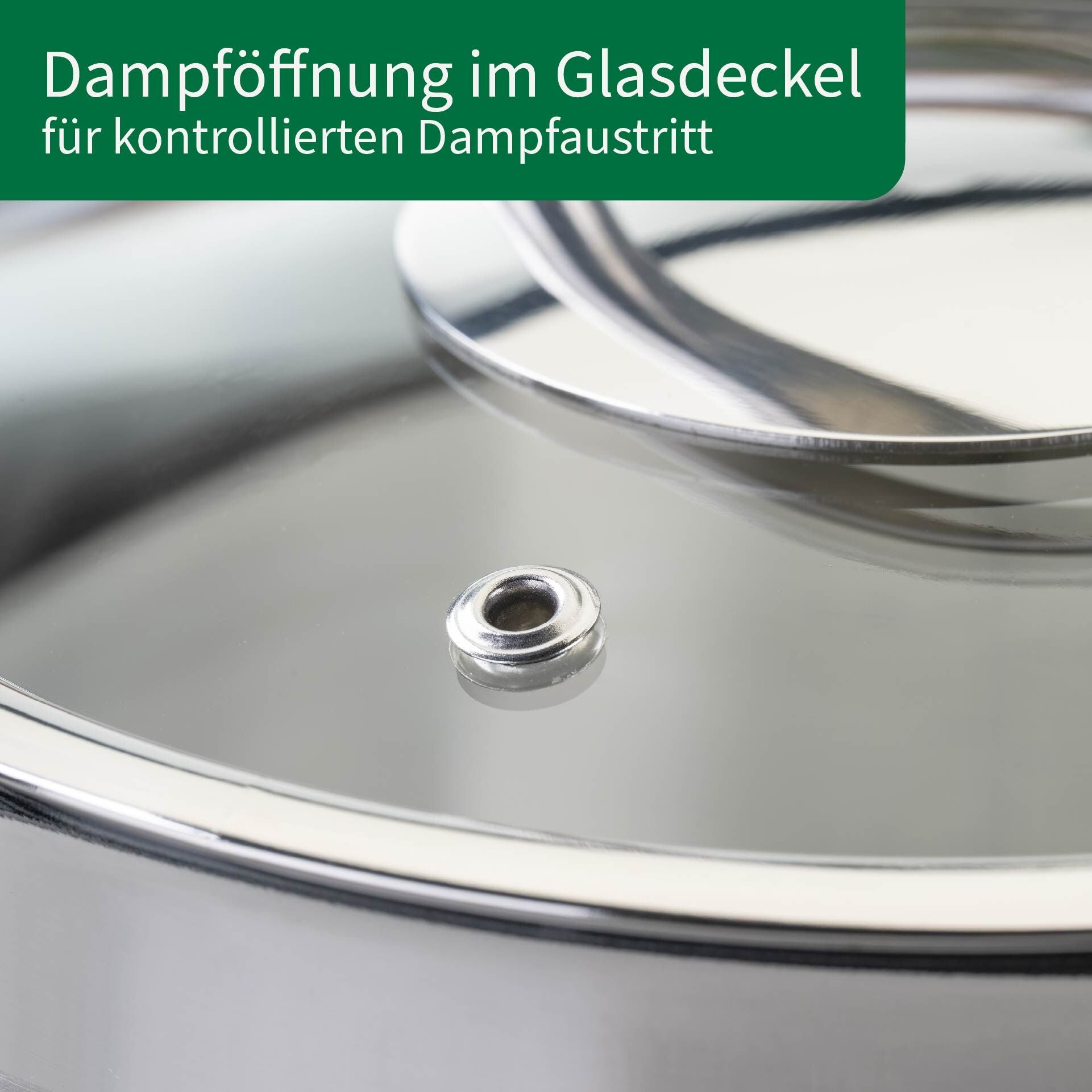 Kjele med glasslokk Leipzig Ø16 cm 2 L rustfritt stål med dampåpning