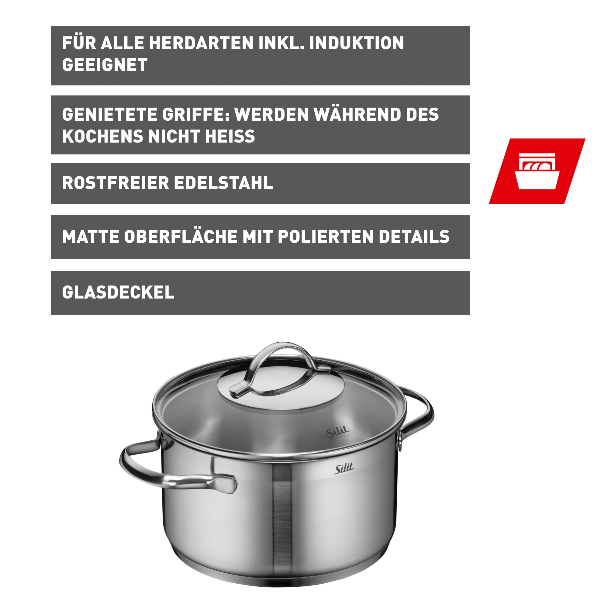 Oversikt av Kjele rustfritt stål 20 cm med glasslokk, induksjon med lokk