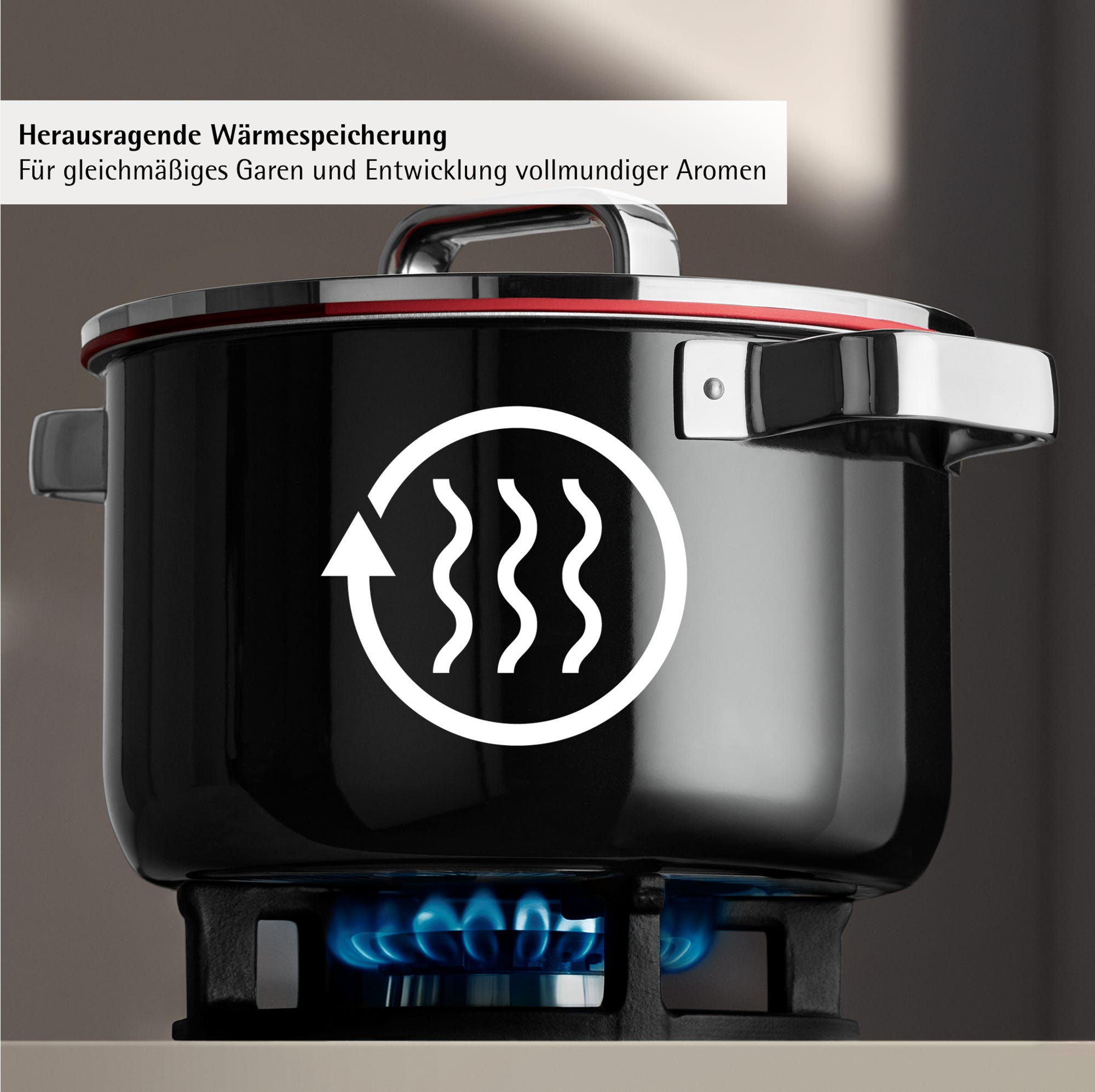 Nærbilde av håndtak på kjele med lokk Fusiontec Function Pro 20 cm svart