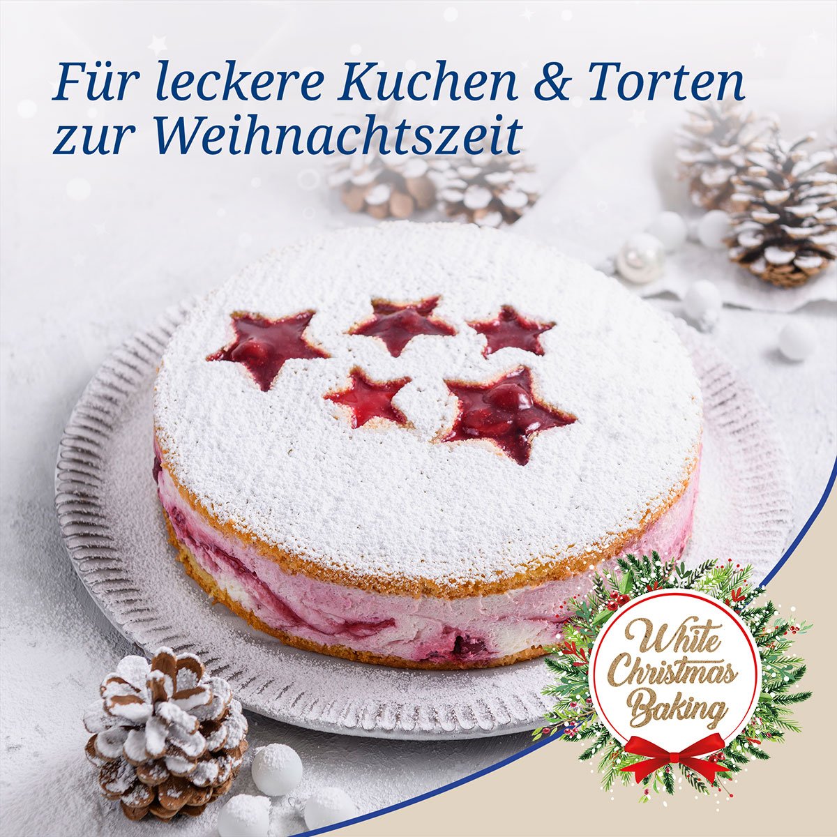 Kant og bunn fra Springform hvit/grå Ø26 cm til julebakst - Dr. Oetker skilt fra hverandre