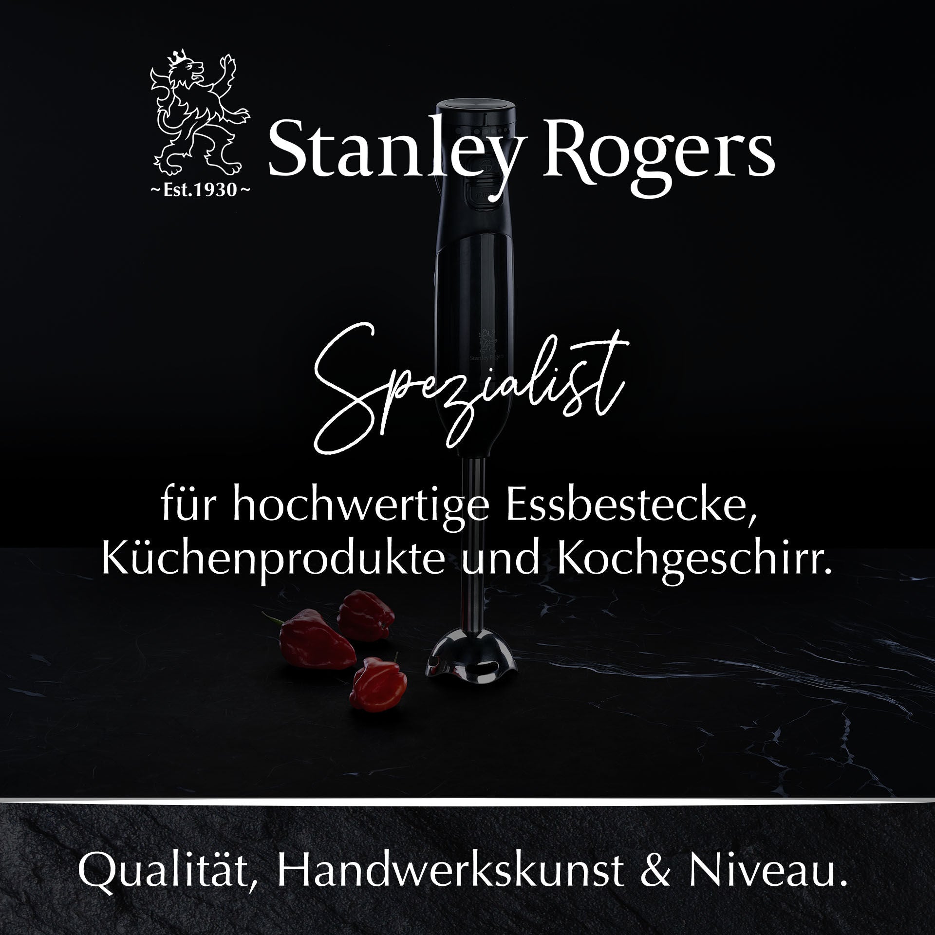 Stavmikser 4-delt rustfritt stål 600W - Stanley Rogers med tilbehør
