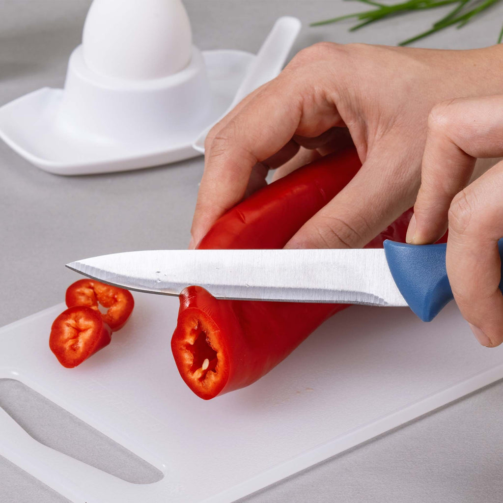 Universalkniv Essential blå rustfritt stål - Fackelmann nærbilde av blad